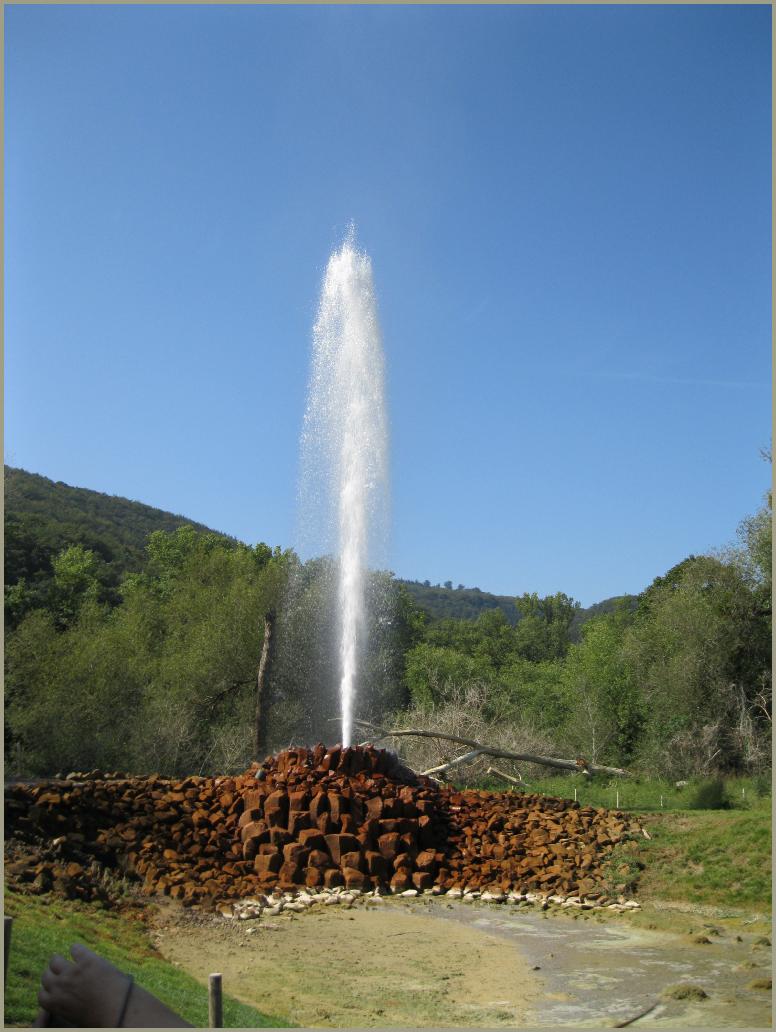 Geysir Andernach

